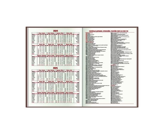 Еженедельник Economix датированный 2024 COLOR, А5 (E21842), изображение 4