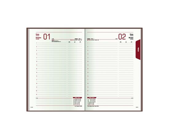 Еженедельник Economix датированный 2024 COLOR, А5 (E21842), изображение 5