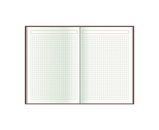 Еженедельник Economix датированный 2024 COLOR, А5 (E21843), изображение 6