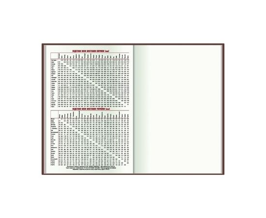 Еженедельник Economix датированный 2024 COLOR, А5 (E21843), изображение 7