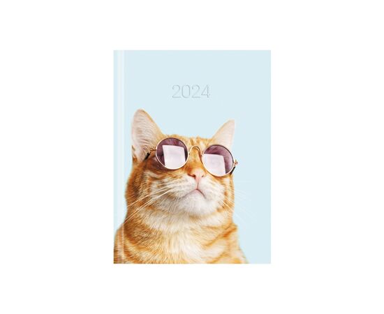 Еженедельник Economix датированный 2024 COLOR, А5 (E21843)