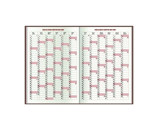 Еженедельник Economix датированный 2024 PRIME зеленый, А5 (E21816-04), изображение 3 Еженедельник Economix датированный 2024 PRIME зеленый, А5 (E21816-04), изображение 3