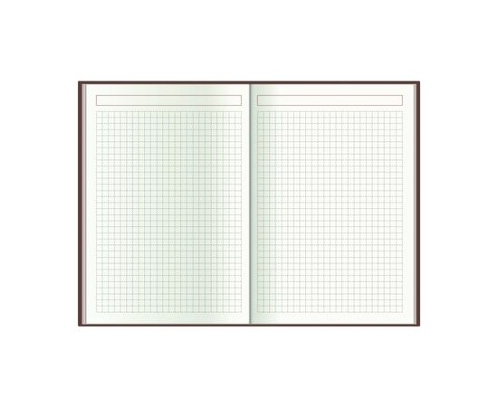 Еженедельник Economix датированный 2024 PRIME зеленый, А5 (E21816-04), изображение 6 Еженедельник Economix датированный 2024 PRIME зеленый, А5 (E21816-04), изображение 6