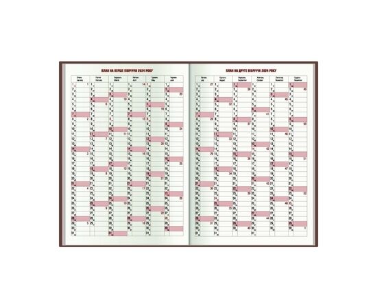 Еженедельник Economix датированный 2024 SAHARA бордо, А5 (E21696-18), изображение 3