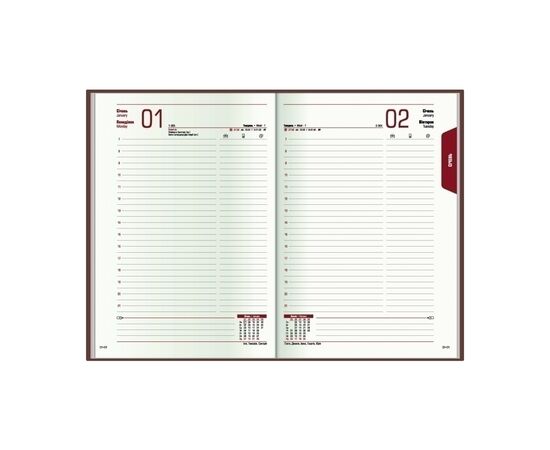 Еженедельник Economix датированный 2024 SATIN фисташковый, А5 (E21612-67), изображение 5