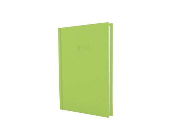 Тижневик Economix датований 2024 SATIN фісташковий, А5 (E21612-67)