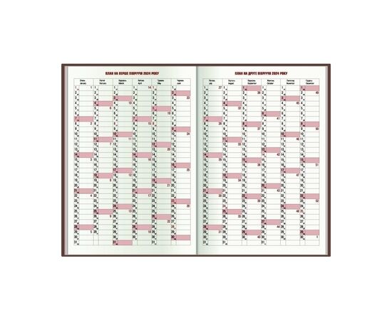 Тижневик Economix датований 2024 SEA рожево-зелений хамелеон, А5 (E21814-09), зображення 3