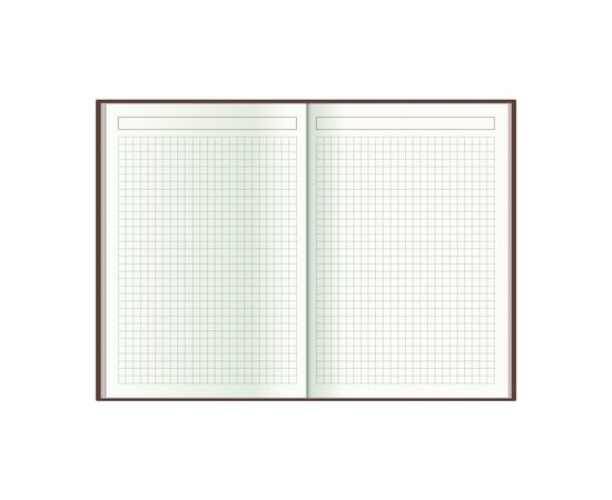 Тижневик Economix датований 2024 SNAKE (ЗМІЯ) помаранчевий, А5 (E21633-06), зображення 6 Тижневик Economix датований 2024 SNAKE (ЗМІЯ) помаранчевий, А5 (E21633-06), зображення 6