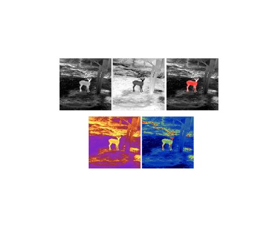 Монокуляр Guide Тепловізійний TD210 256x192px 10mm (TD210), изображение 6 Монокуляр Guide Тепловізійний TD210 256x192px 10mm (TD210), изображение 6