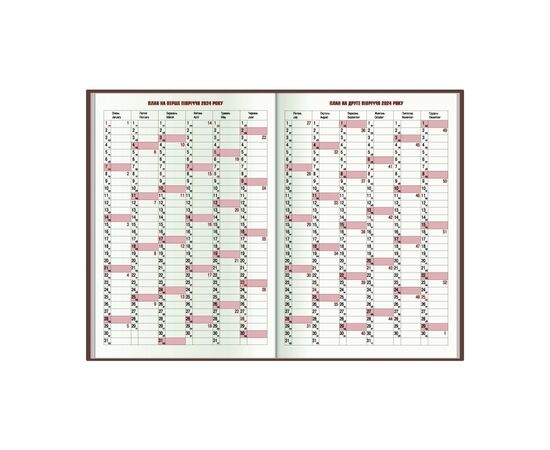 Еженедельник Economix датированный 2024 SNAKE (ЗМЕЯ) синий, А5 (E21633-02), изображение 3