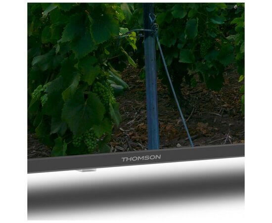 Телевізор THOMSON 65QA2S13, зображення 5 Телевізор THOMSON 65QA2S13, зображення 5
