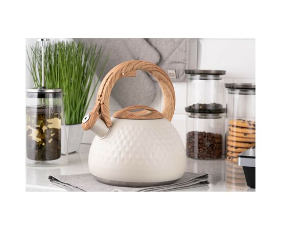 Электрочайник Ardesto AR1956KS, изображение 2 Электрочайник Ardesto AR1956KS, изображение 2