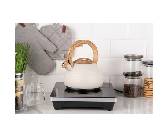 Электрочайник Ardesto AR1956KS, изображение 4 Электрочайник Ardesto AR1956KS, изображение 4