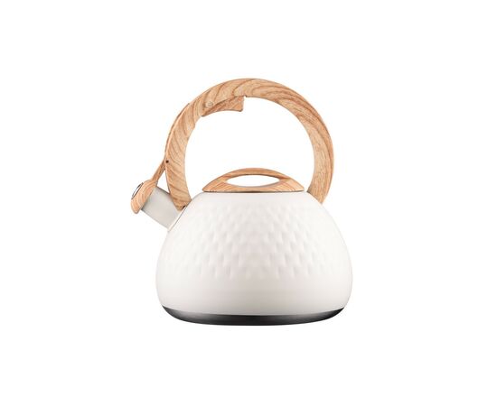 Электрочайник Ardesto AR1956KS, изображение 6 Электрочайник Ardesto AR1956KS, изображение 6