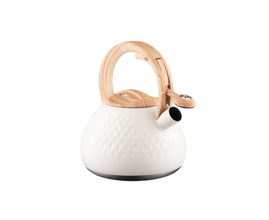 Электрочайник Ardesto AR1956KS, изображение 7 Электрочайник Ardesto AR1956KS, изображение 7