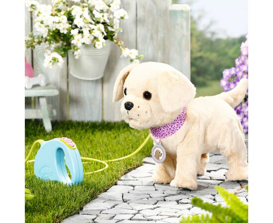 Интерактивная игрушка Baby Born любимец Мой счастливый песик (с аксессуарами) (835197), изображение 8 Интерактивная игрушка Baby Born любимец Мой счастливый песик (с аксессуарами) (835197), изображение 8