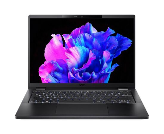 Ноутбук Acer TravelMate TMP614-53 (NX.B0AEU.008)