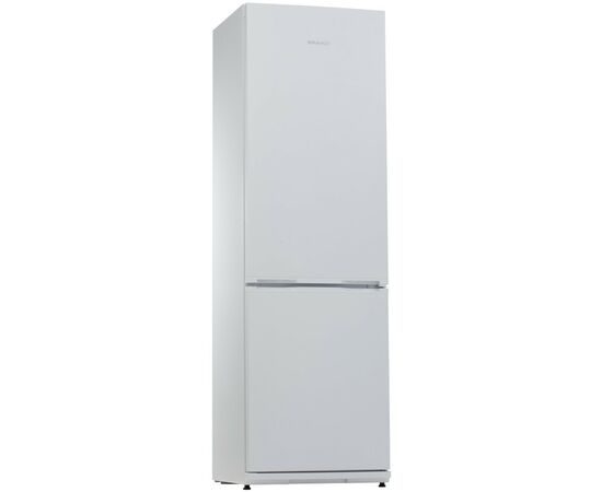 Холодильник Snaige RF36SM-S0002F