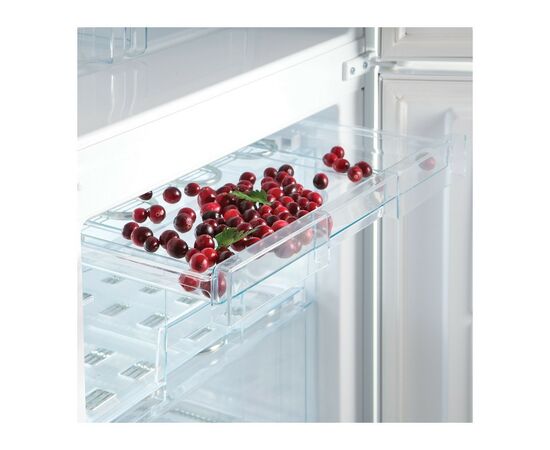 Холодильник Snaige RF36SM-S0002F, изображение 11