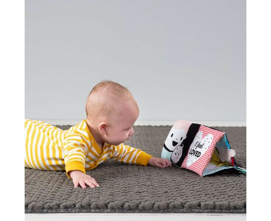 Розвиваюча іграшка Taf Toys Мої емоції (12545), зображення 2 Розвиваюча іграшка Taf Toys Мої емоції (12545), зображення 2