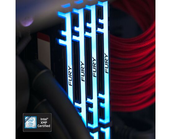 Модуль памяти для компьютера DDR4 16GB 3600 MHz Fury Renegade RGB Kingston Fury (ex.HyperX) (KF436C16RB1A/16), изображение 8 Модуль памяти для компьютера DDR4 16GB 3600 MHz Fury Renegade RGB Kingston Fury (ex.HyperX) (KF436C16RB1A/16), изображение 8