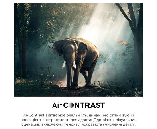 Телевизор TCL 65C745, изображение 12