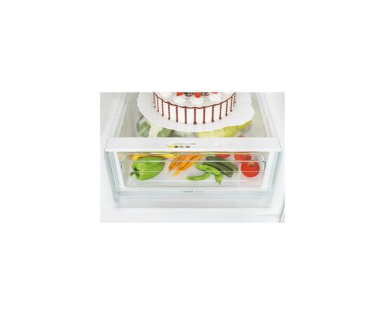 Холодильник Candy CCE4T620ЕBU, зображення 10 Холодильник Candy CCE4T620ЕBU, зображення 10