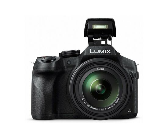 Цифровой фотоаппарат Panasonic DMC-FZ300 (DMC-FZ300EEK), изображение 7 Цифровой фотоаппарат Panasonic DMC-FZ300 (DMC-FZ300EEK), изображение 7