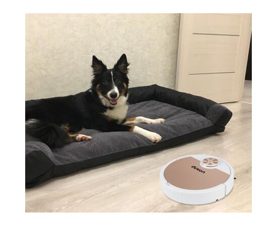 Пилосос DYXON MEGAVAC 3000 white-bronze, зображення 9 Пилосос DYXON MEGAVAC 3000 white-bronze, зображення 9