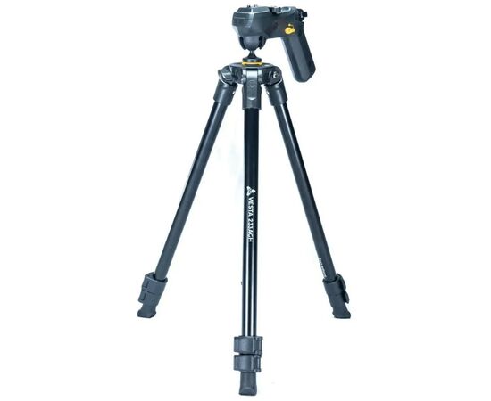 Штатив Vanguard Vesta 203AGH (DAS301003)