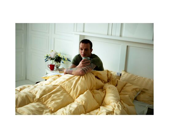 Одеяло MirSon пуховое Carmela 035 зима 172x205 см (2200000003652), изображение 10 Одеяло MirSon пуховое Carmela 035 зима 172x205 см (2200000003652), изображение 10