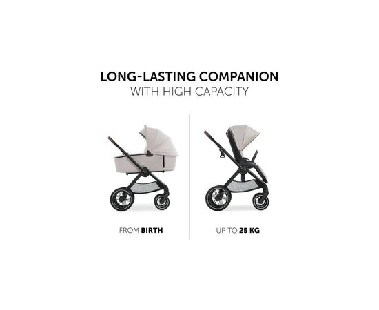 Коляска Hauck 2 в 1 Walk N Care (Beige) (16546-1), изображение 4 Коляска Hauck 2 в 1 Walk N Care (Beige) (16546-1), изображение 4