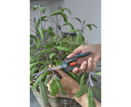 Ножиці садові Gardena FreshCut для трави і квітів (12212-20.000.00), зображення 10 Ножиці садові Gardena FreshCut для трави і квітів (12212-20.000.00), зображення 10