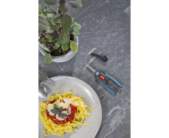 Ножиці садові Gardena FreshCut для трави і квітів (12212-20.000.00), зображення 7 Ножиці садові Gardena FreshCut для трави і квітів (12212-20.000.00), зображення 7