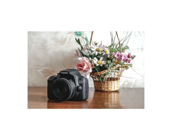 Цифровой фотоаппарат Canon EOS 2000D 18-55 DC III (2728C007AA), изображение 11 Цифровой фотоаппарат Canon EOS 2000D 18-55 DC III (2728C007AA), изображение 11