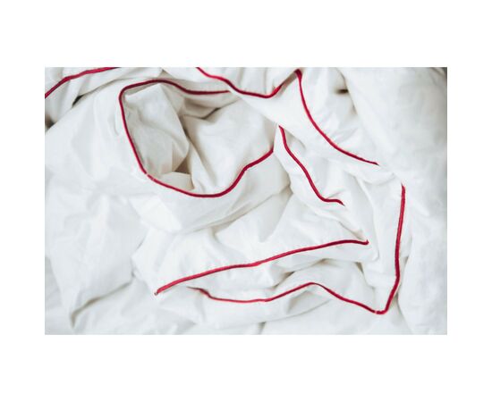 Одеяло MirSon пуховое DeLuxе 028 легкое 140x205 см (2200000005779), изображение 5 Одеяло MirSon пуховое DeLuxе 028 легкое 140x205 см (2200000005779), изображение 5