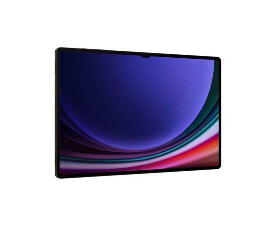 Планшет Samsung Galaxy Tab S9 Ultra 5G 12GB/512GB Graphite (SM-X916BZAESEK), изображение 6 Планшет Samsung Galaxy Tab S9 Ultra 5G 12GB/512GB Graphite (SM-X916BZAESEK), изображение 6