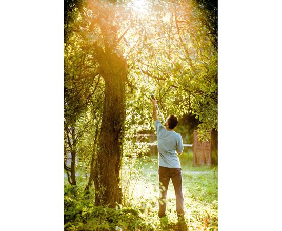 Секатор Cellfast сучкорез высотный телескопический IDEAL (40-416), изображение 7 Секатор Cellfast сучкорез высотный телескопический IDEAL (40-416), изображение 7