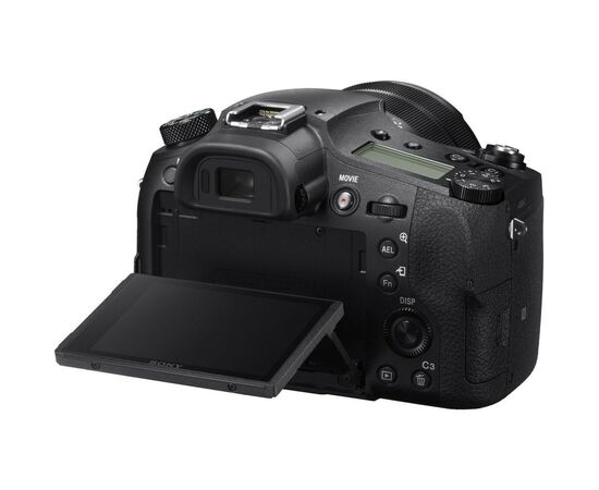 Цифровой фотоаппарат Sony Cyber-Shot RX10 MkIV (DSCRX10M4.RU3), изображение 10 Цифровой фотоаппарат Sony Cyber-Shot RX10 MkIV (DSCRX10M4.RU3), изображение 10
