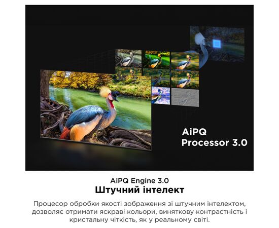 Телевизор TCL 55C845, изображение 4 Телевизор TCL 55C845, изображение 4