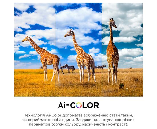 Телевизор TCL 55C845, изображение 9 Телевизор TCL 55C845, изображение 9