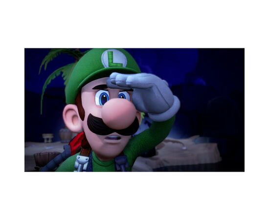 Игра Nintendo Luigi's Mansion 3, картридж (045496425272), изображение 6 Игра Nintendo Luigi's Mansion 3, картридж (045496425272), изображение 6