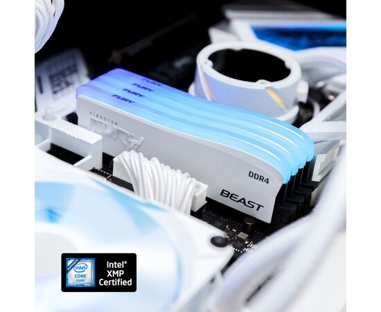 Модуль памяти для компьютера DDR4 8GB 3600 MHz Beast White RGB SE Kingston Fury (ex.HyperX) (KF436C17BWA/8), изображение 9 Модуль памяти для компьютера DDR4 8GB 3600 MHz Beast White RGB SE Kingston Fury (ex.HyperX) (KF436C17BWA/8), изображение 9