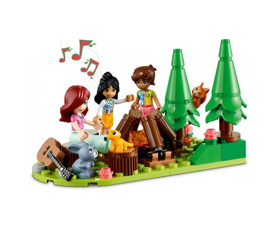 Конструктор LEGO Friends Крошечный мобильный домик 785 деталей (41735), изображение 8