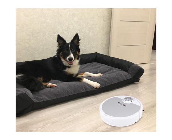 Пилосос DYXON MEGAVAC 3000 white-silver, зображення 9 Пилосос DYXON MEGAVAC 3000 white-silver, зображення 9