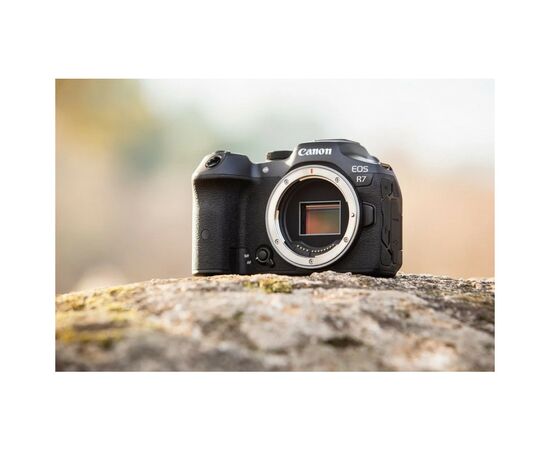 Цифровой фотоаппарат Canon EOS R7 body + адаптер EF-RF (5137C018), изображение 3 Цифровой фотоаппарат Canon EOS R7 body + адаптер EF-RF (5137C018), изображение 3