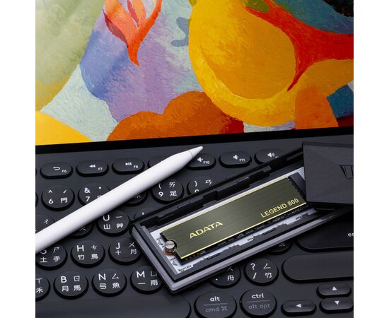 Накопитель SSD M.2 2280 500GB ADATA (ALEG-800-500GCS), изображение 11 Накопитель SSD M.2 2280 500GB ADATA (ALEG-800-500GCS), изображение 11