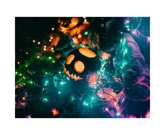 Гирлянда Twinkly Smart LED Icicle RGBW 190, BT + WiFi, Gen II, IP44 кабель пр (TWI190SPP-TEU), изображение 6 Гирлянда Twinkly Smart LED Icicle RGBW 190, BT + WiFi, Gen II, IP44 кабель пр (TWI190SPP-TEU), изображение 6
