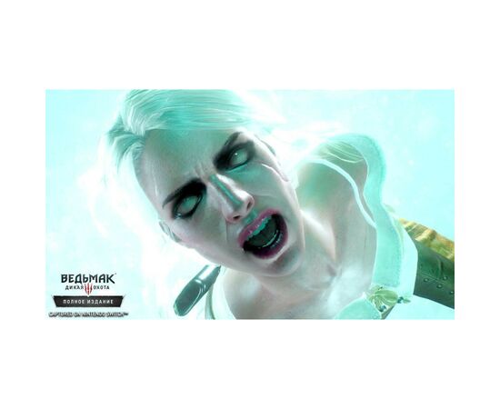 Гра Nintendo Switch The Witcher 3: Wild Hunt (1186876), зображення 10 Гра Nintendo Switch The Witcher 3: Wild Hunt (1186876), зображення 10