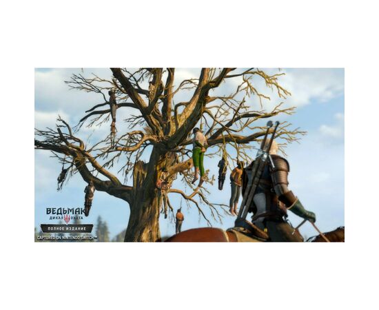 Гра Nintendo Switch The Witcher 3: Wild Hunt (1186876), зображення 3 Гра Nintendo Switch The Witcher 3: Wild Hunt (1186876), зображення 3